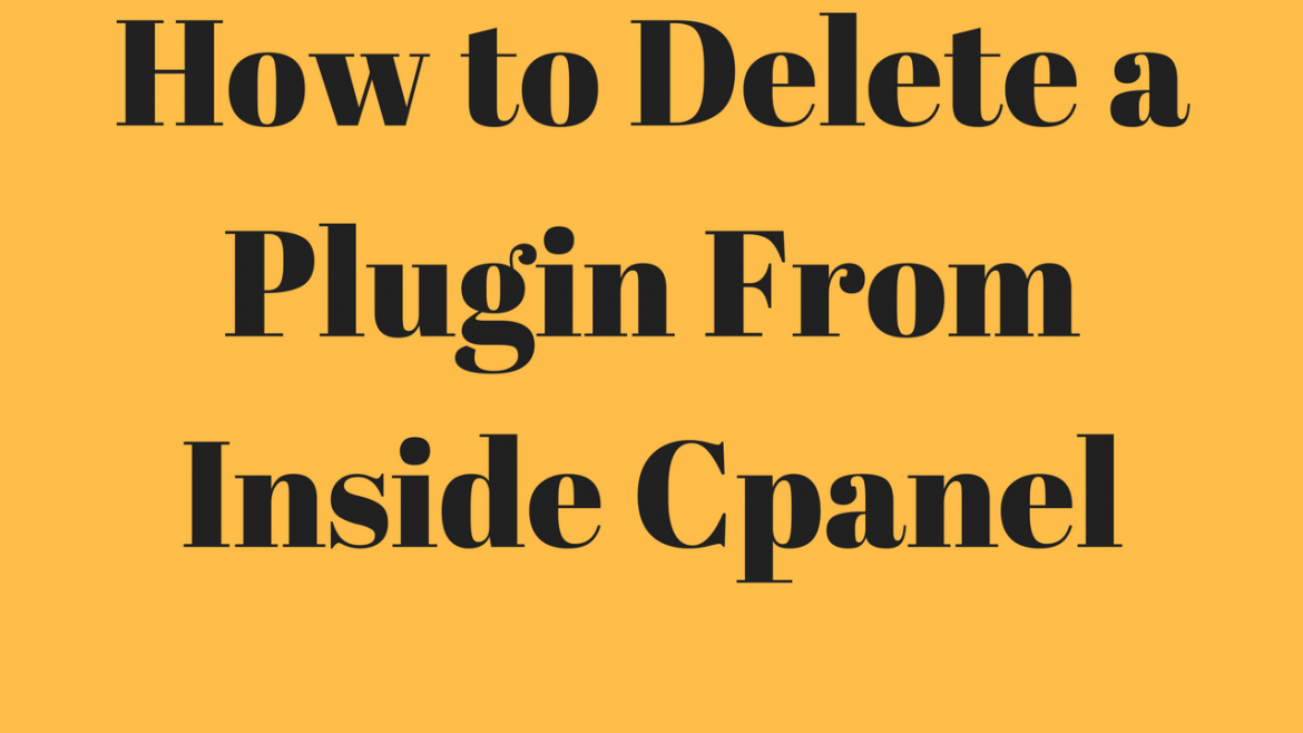 How to Delete a Plugin from CPanel